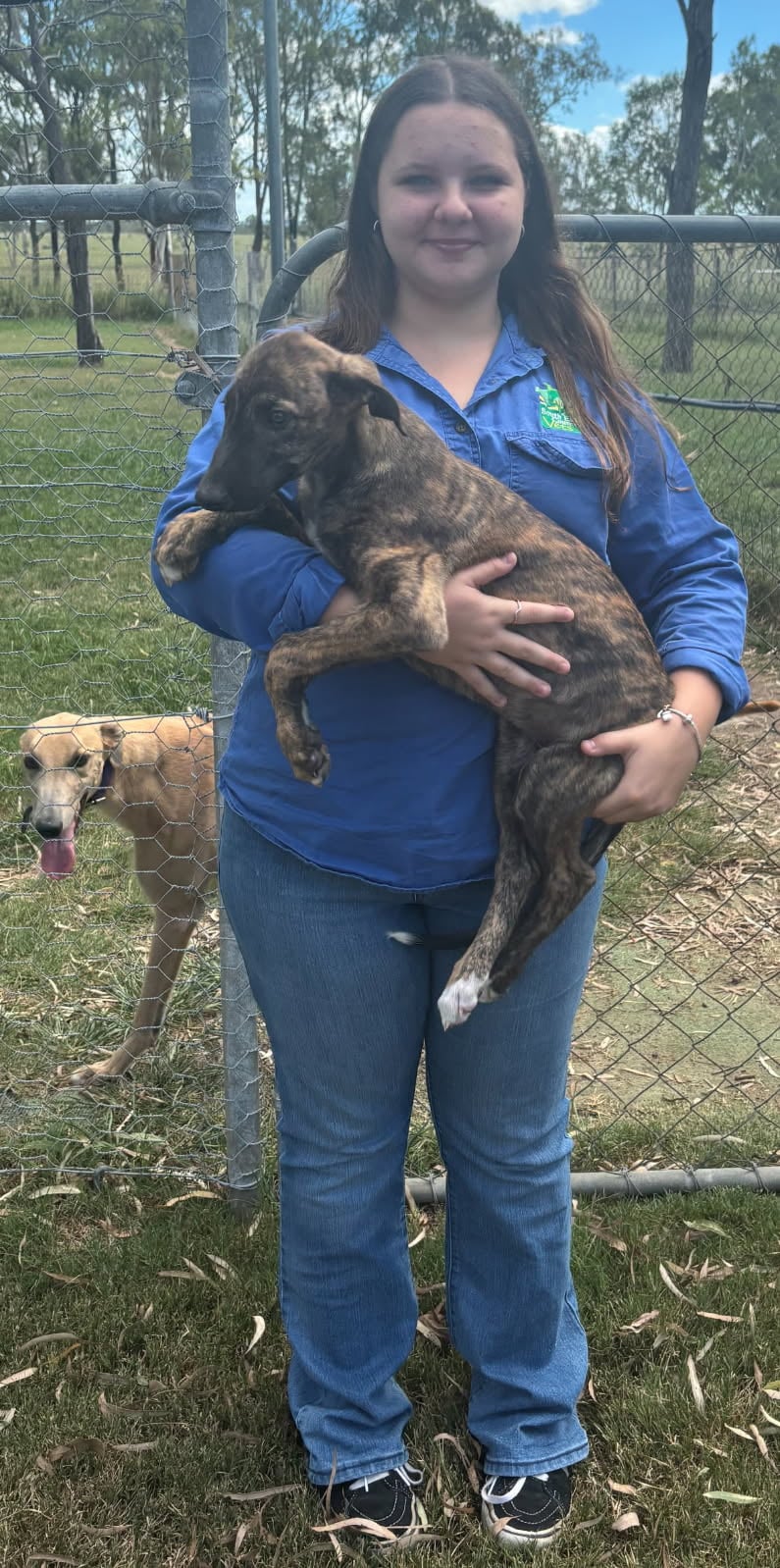 Vet near Nanango