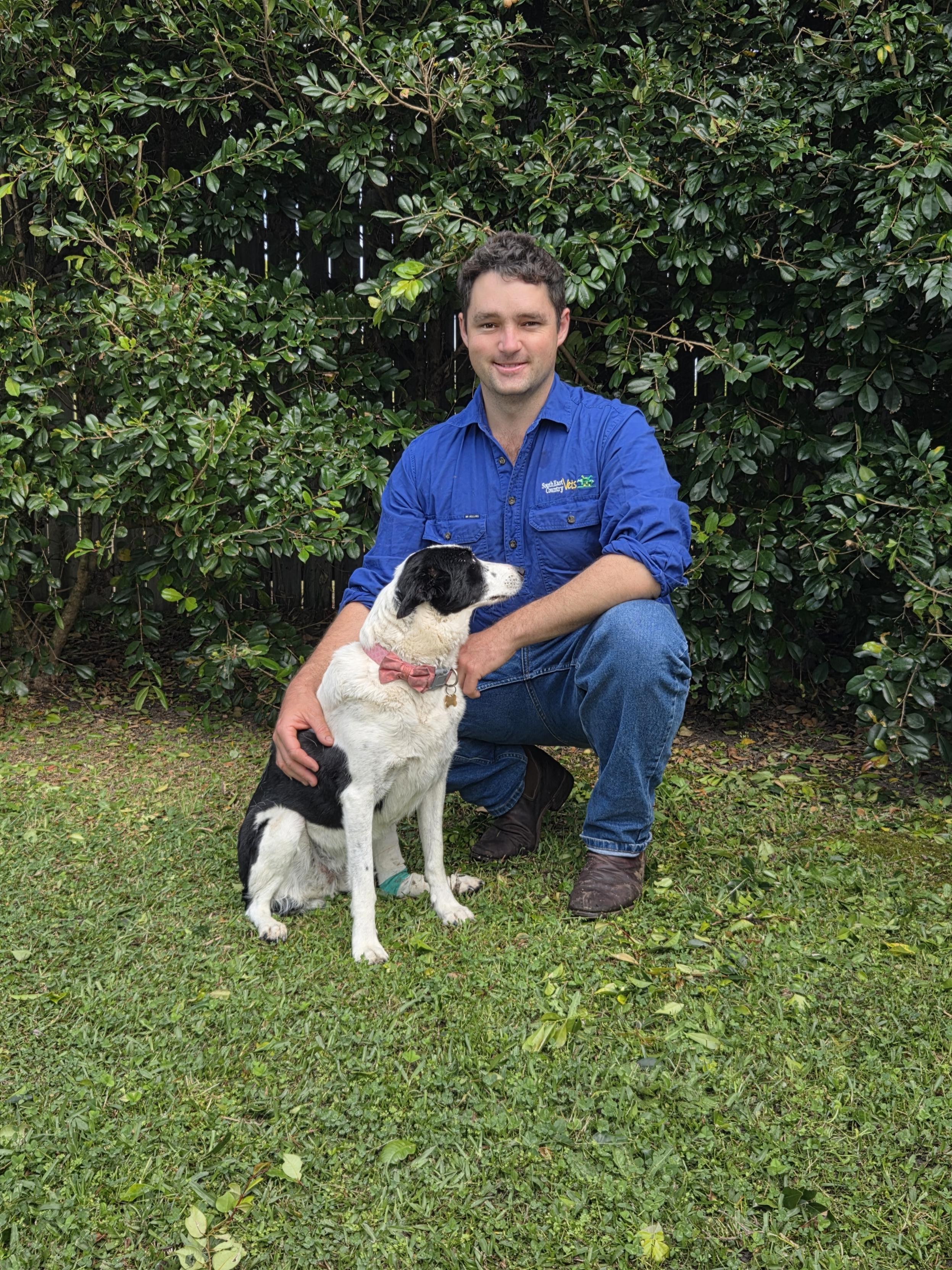 Highfields Vet
