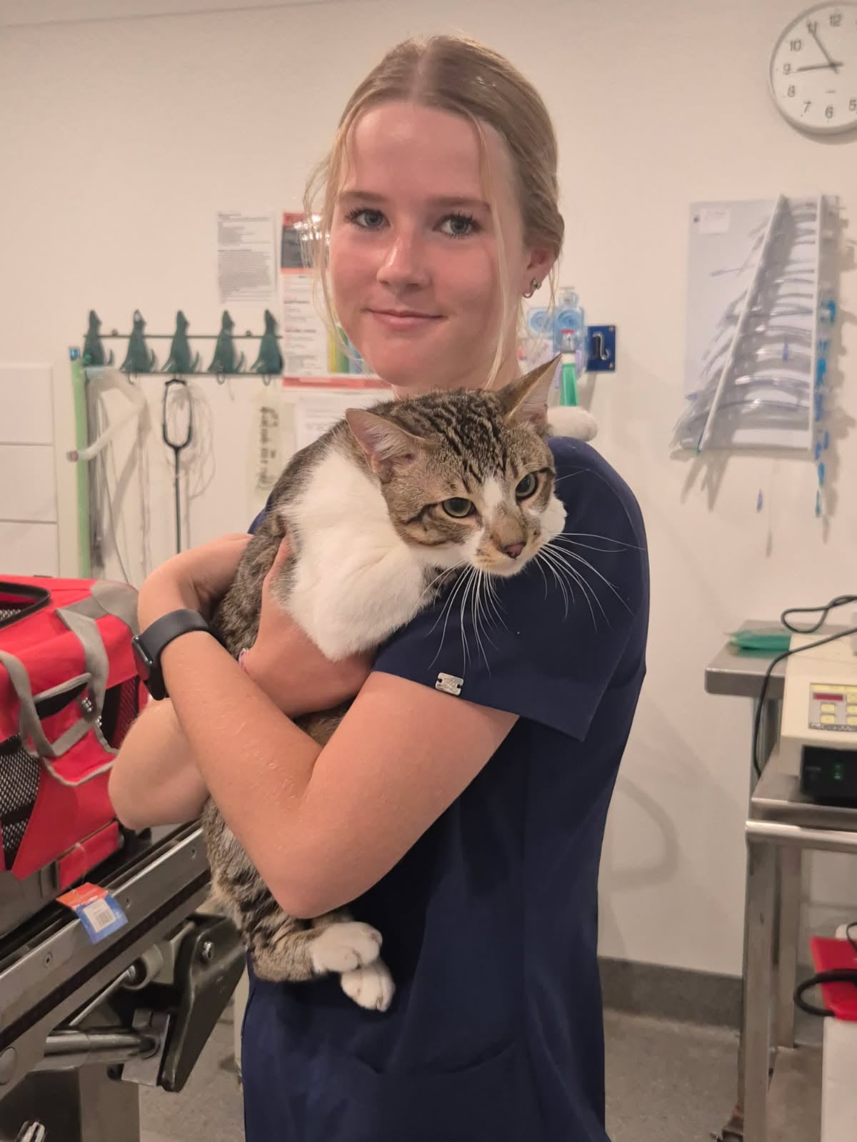 Vet near Nanango