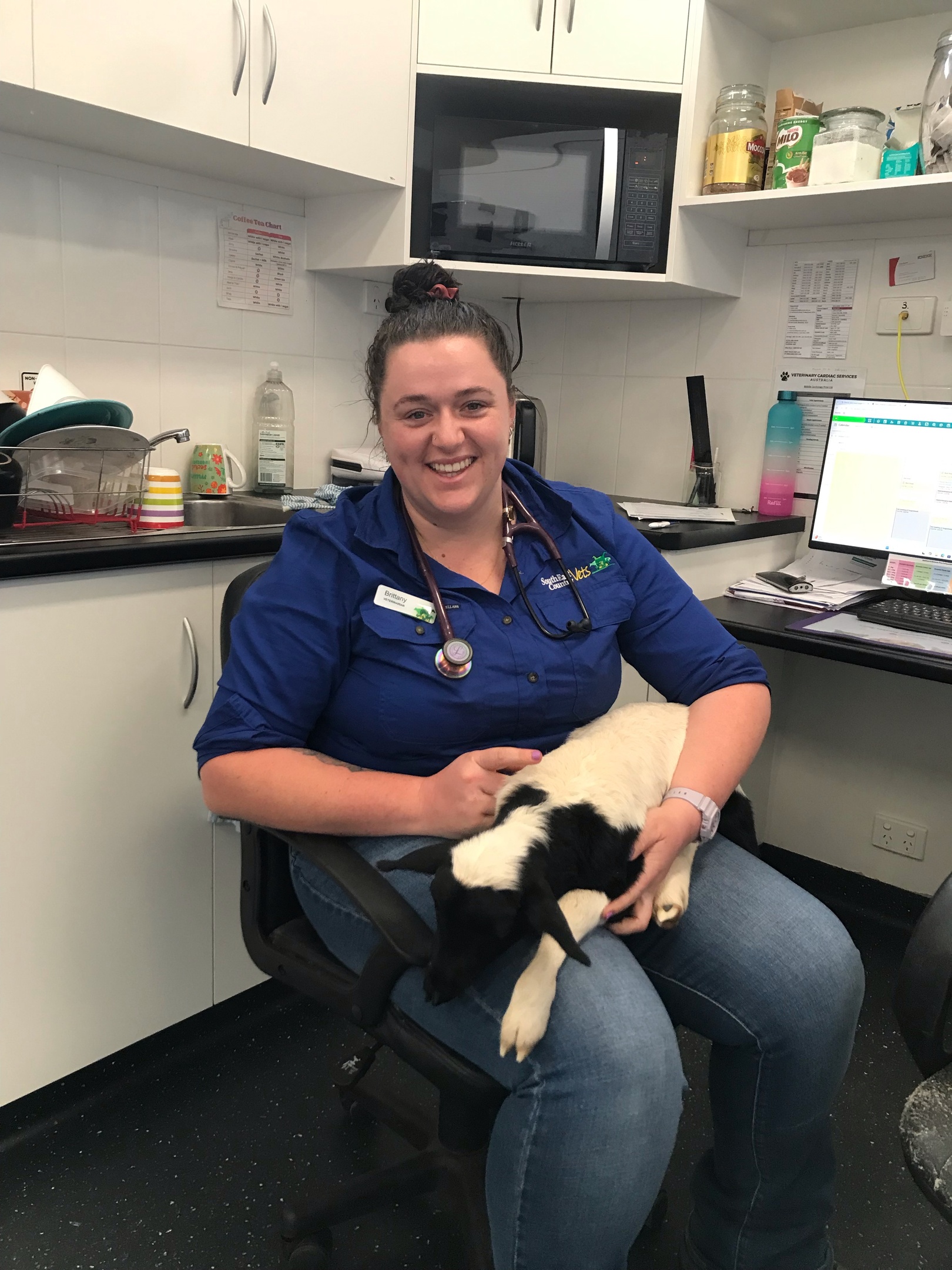 Highfields Vet